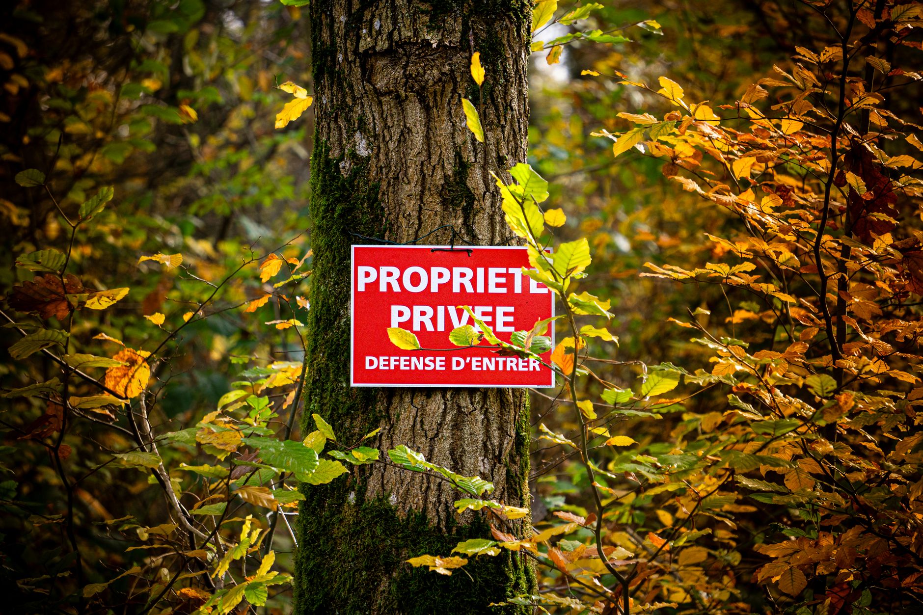 Détective privé à Vaulx-en-Velin